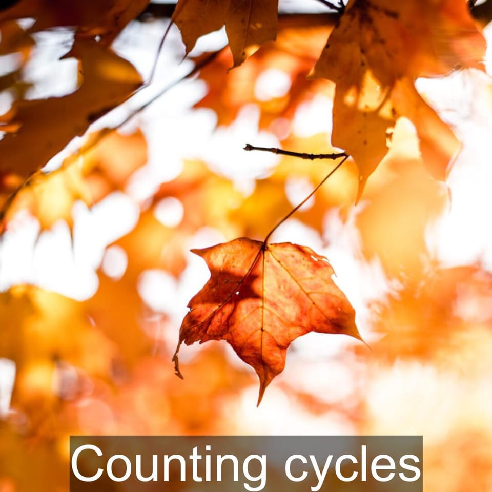 Counting cycles