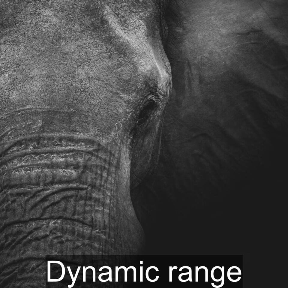 Dynamic range