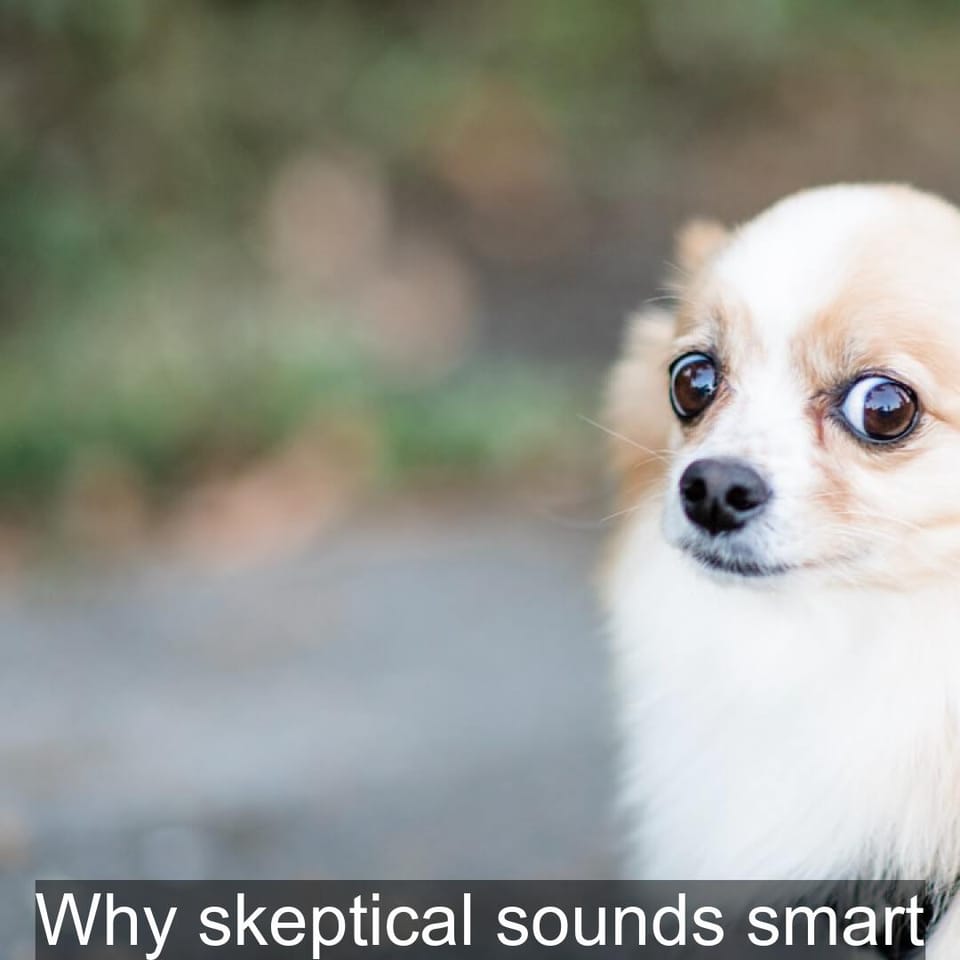 Why skeptical sounds smart