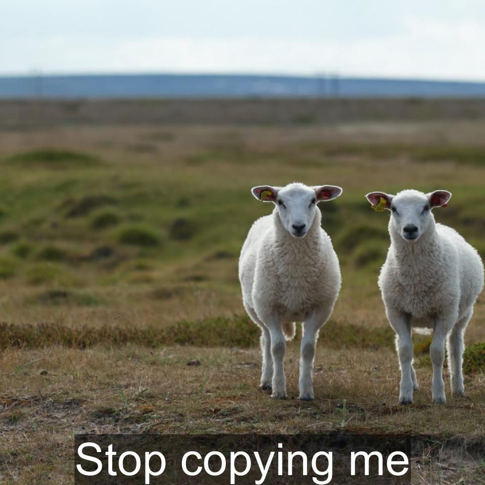 Stop copying me